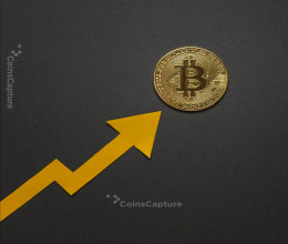 CoinsCapture - Cryptocurrency Trading Prices Today, Live Chart , Market Trades & Cap
