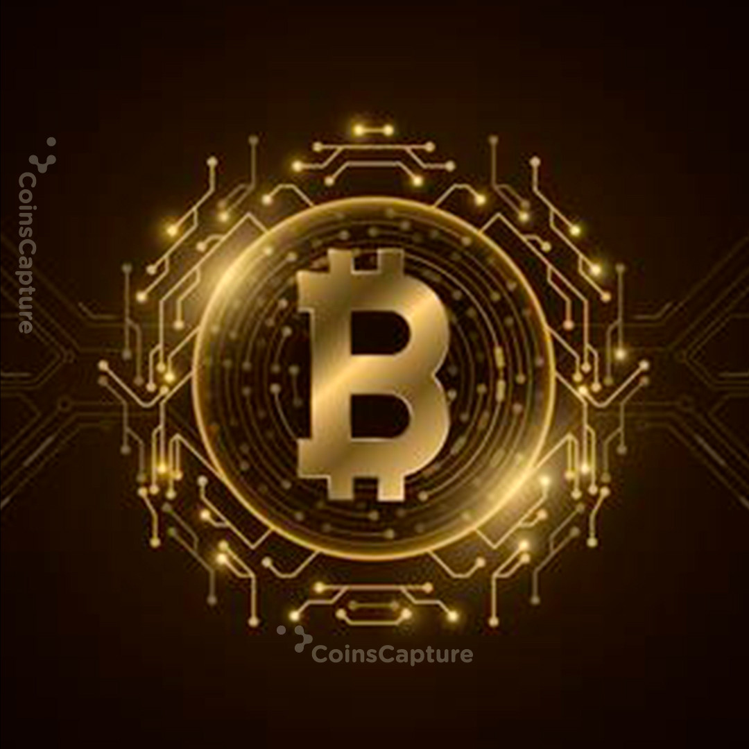 CoinsCapture - Cryptocurrency Trading Prices Today, Live Chart , Market Trades & Cap