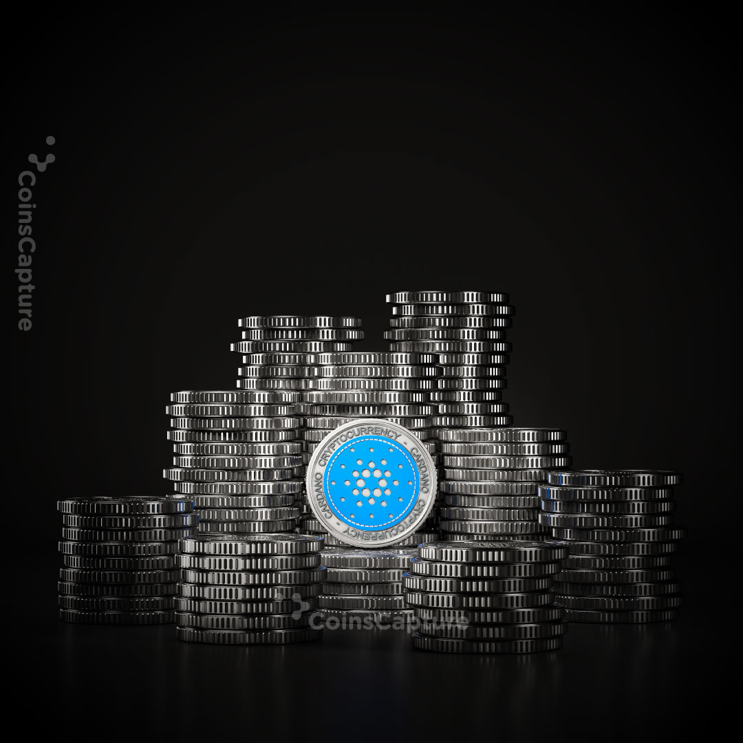 CoinsCapture - Cryptocurrency Trading Prices Today, Live Chart , Market Trades & Cap