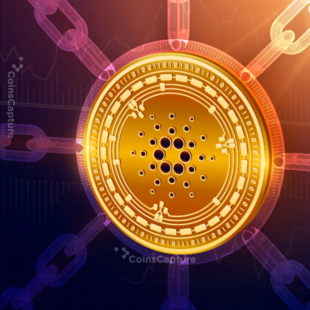 CoinsCapture - Cryptocurrency Trading Prices Today, Live Chart , Market Trades & Cap