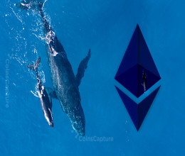 CoinsCapture - Cryptocurrency Trading Prices Today, Live Chart , Market Trades & Cap