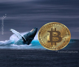 CoinsCapture - Cryptocurrency Trading Prices Today, Live Chart , Market Trades & Cap