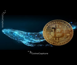 CoinsCapture - Cryptocurrency Trading Prices Today, Live Chart , Market Trades & Cap