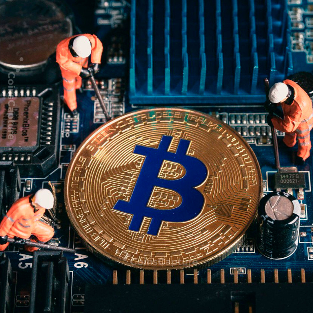 CoinsCapture - Cryptocurrency Trading Prices Today, Live Chart , Market Trades & Cap