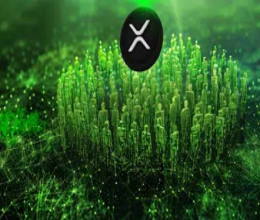 CoinsCapture - Cryptocurrency Trading Prices Today, Live Chart , Market Trades & Cap