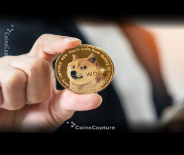 CoinsCapture - Cryptocurrency Trading Prices Today, Live Chart , Market Trades & Cap