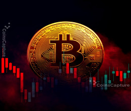 CoinsCapture - Cryptocurrency Trading Prices Today, Live Chart , Market Trades & Cap