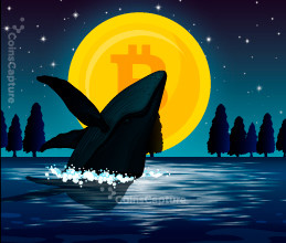 CoinsCapture - Cryptocurrency Trading Prices Today, Live Chart , Market Trades & Cap