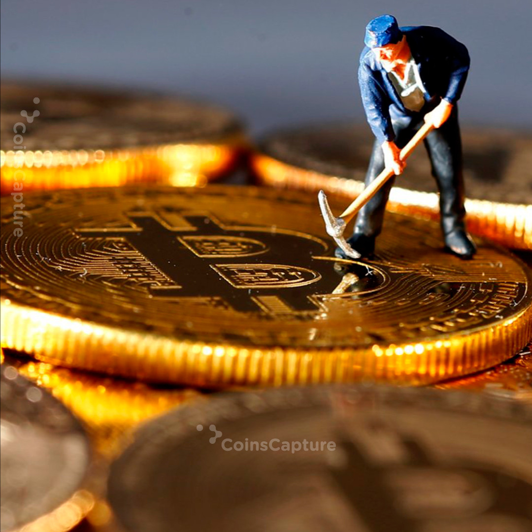 CoinsCapture - Cryptocurrency Trading Prices Today, Live Chart , Market Trades & Cap