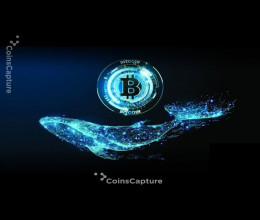 CoinsCapture - Cryptocurrency Trading Prices Today, Live Chart , Market Trades & Cap