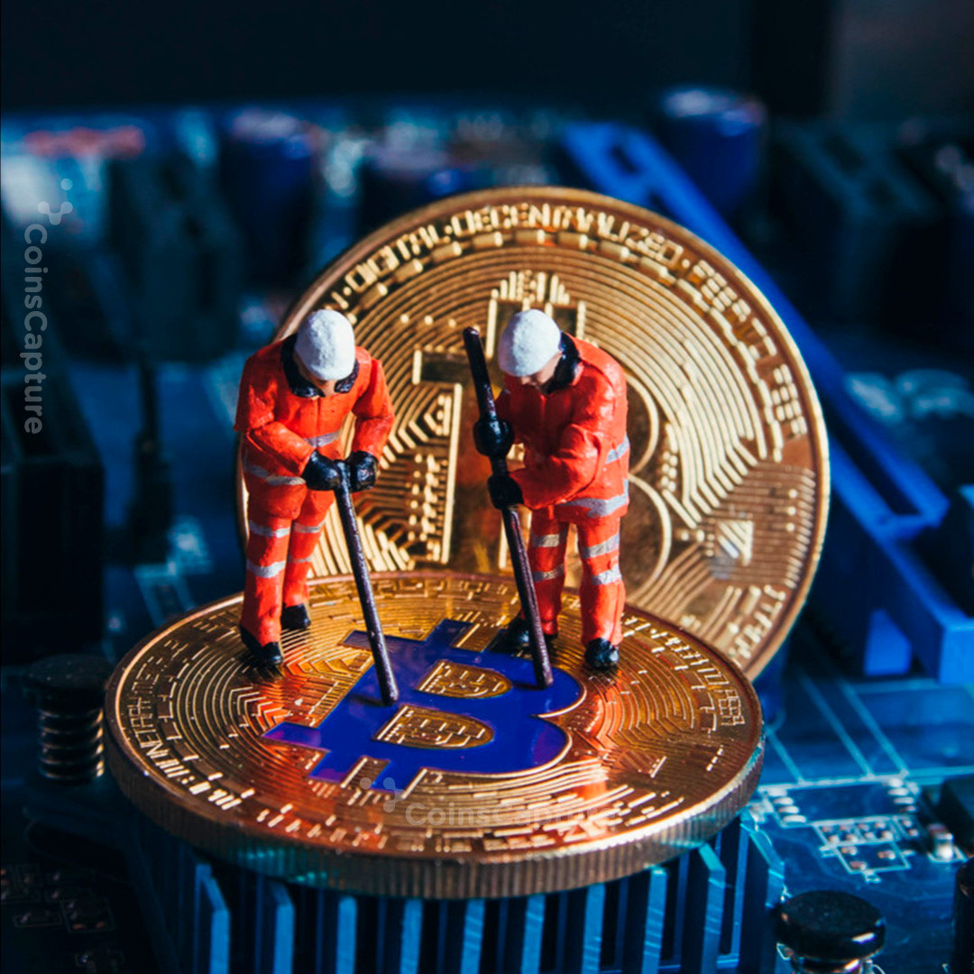 CoinsCapture - Cryptocurrency Trading Prices Today, Live Chart , Market Trades & Cap