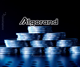 CoinsCapture - Cryptocurrency Trading Prices Today, Live Chart , Market Trades & Cap