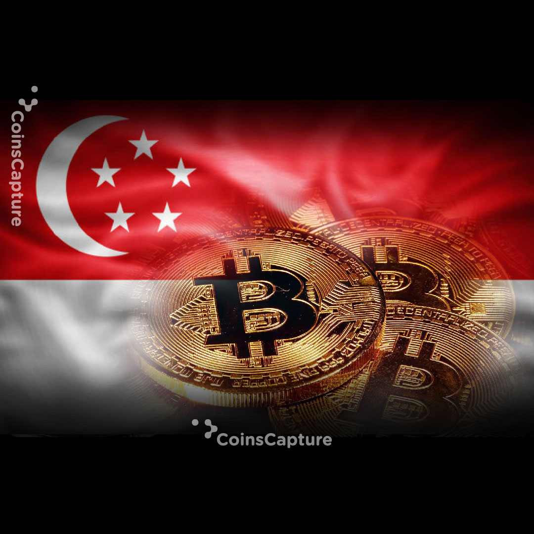 CoinsCapture - Cryptocurrency Trading Prices Today, Live Chart , Market Trades & Cap