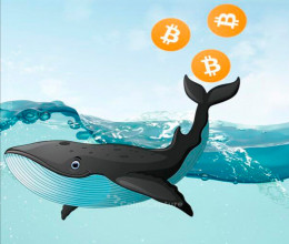 CoinsCapture - Cryptocurrency Trading Prices Today, Live Chart , Market Trades & Cap