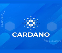 CoinsCapture - Cryptocurrency Trading Prices Today, Live Chart , Market Trades & Cap