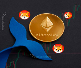CoinsCapture - Cryptocurrency Trading Prices Today, Live Chart , Market Trades & Cap