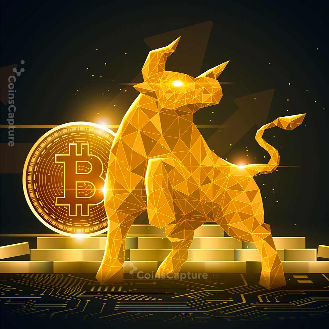 CoinsCapture - Cryptocurrency Trading Prices Today, Live Chart , Market Trades & Cap
