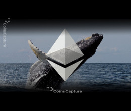 CoinsCapture - Cryptocurrency Trading Prices Today, Live Chart , Market Trades & Cap