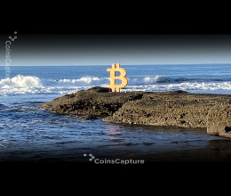 CoinsCapture - Cryptocurrency Trading Prices Today, Live Chart , Market Trades & Cap