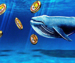CoinsCapture - Cryptocurrency Trading Prices Today, Live Chart , Market Trades & Cap