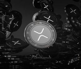 CoinsCapture - Cryptocurrency Trading Prices Today, Live Chart , Market Trades & Cap