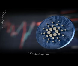 CoinsCapture - Cryptocurrency Trading Prices Today, Live Chart , Market Trades & Cap
