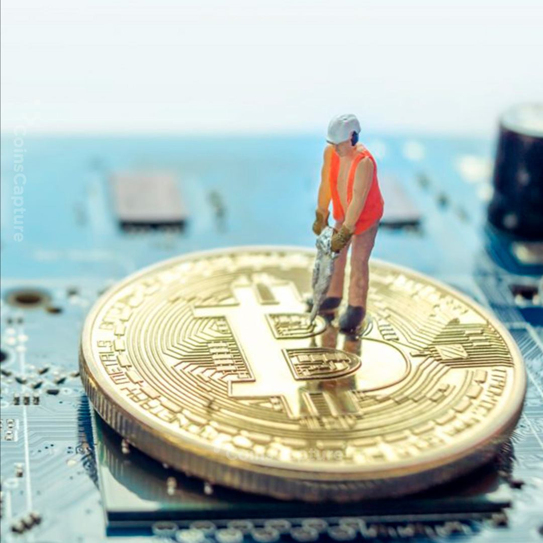CoinsCapture - Cryptocurrency Trading Prices Today, Live Chart , Market Trades & Cap