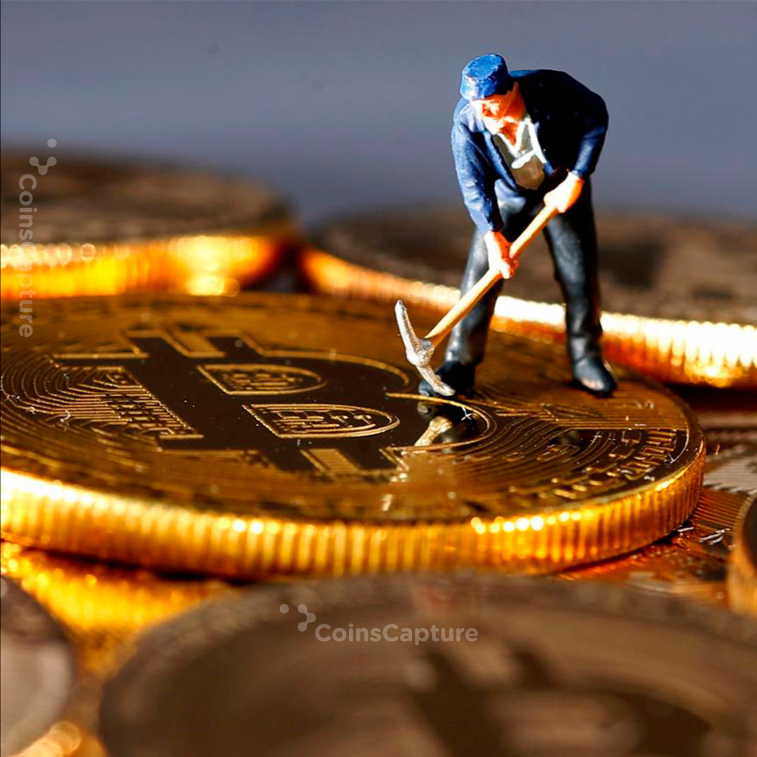 CoinsCapture - Cryptocurrency Trading Prices Today, Live Chart , Market Trades & Cap