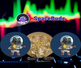 CoinsCapture - Cryptocurrency Trading Prices Today, Live Chart , Market Trades & Cap