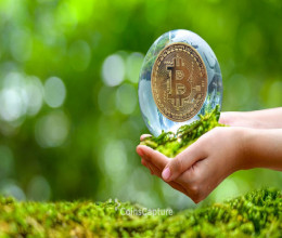 CoinsCapture - Cryptocurrency Trading Prices Today, Live Chart , Market Trades & Cap