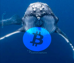 CoinsCapture - Cryptocurrency Trading Prices Today, Live Chart , Market Trades & Cap