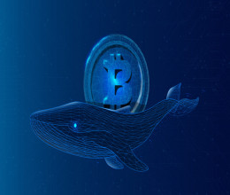 CoinsCapture - Cryptocurrency Trading Prices Today, Live Chart , Market Trades & Cap
