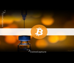 CoinsCapture - Cryptocurrency Trading Prices Today, Live Chart , Market Trades & Cap
