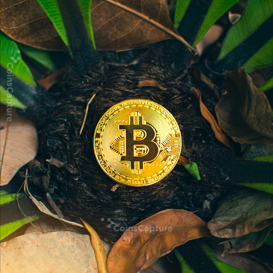 CoinsCapture - Cryptocurrency Trading Prices Today, Live Chart , Market Trades & Cap