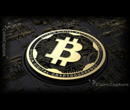 CoinsCapture - Cryptocurrency Trading Prices Today, Live Chart , Market Trades & Cap