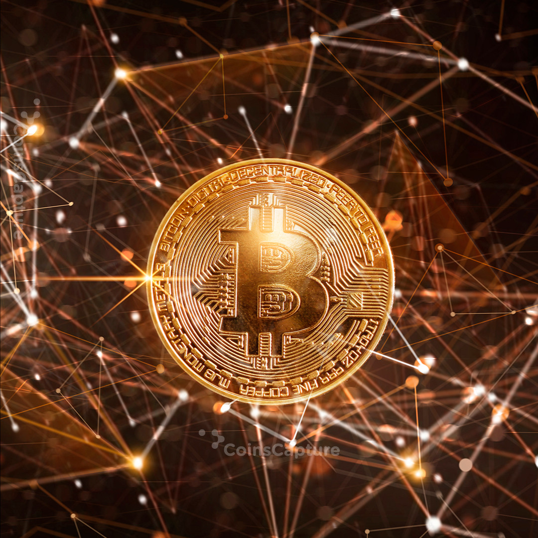 CoinsCapture - Cryptocurrency Trading Prices Today, Live Chart , Market Trades & Cap