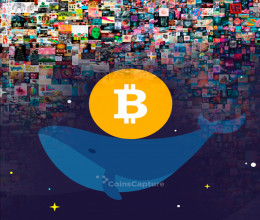 CoinsCapture - Cryptocurrency Trading Prices Today, Live Chart , Market Trades & Cap