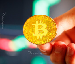CoinsCapture - Cryptocurrency Trading Prices Today, Live Chart , Market Trades & Cap