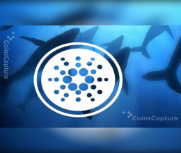 CoinsCapture - Cryptocurrency Trading Prices Today, Live Chart , Market Trades & Cap