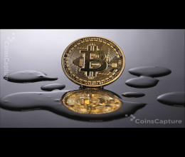 CoinsCapture - Cryptocurrency Trading Prices Today, Live Chart , Market Trades & Cap