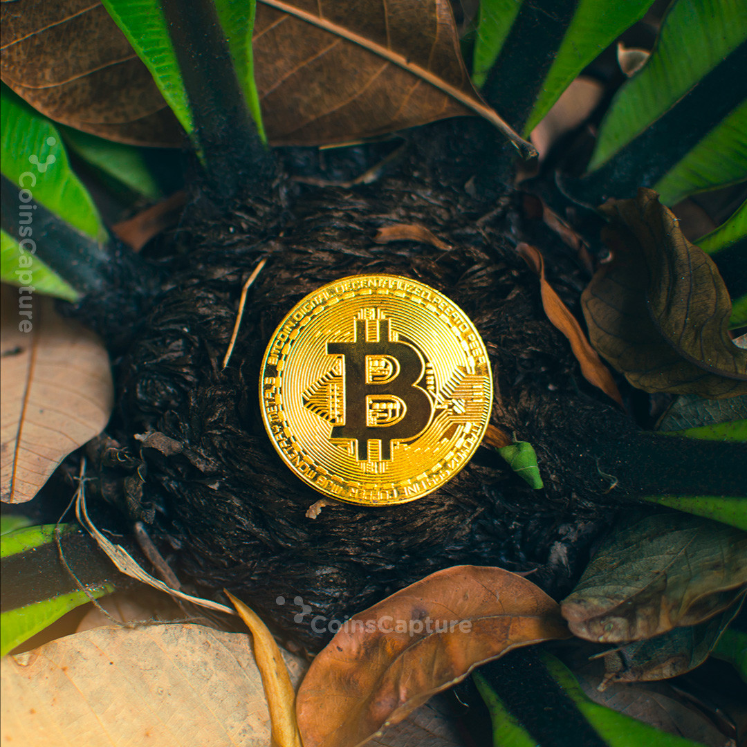 CoinsCapture - Cryptocurrency Trading Prices Today, Live Chart , Market Trades & Cap