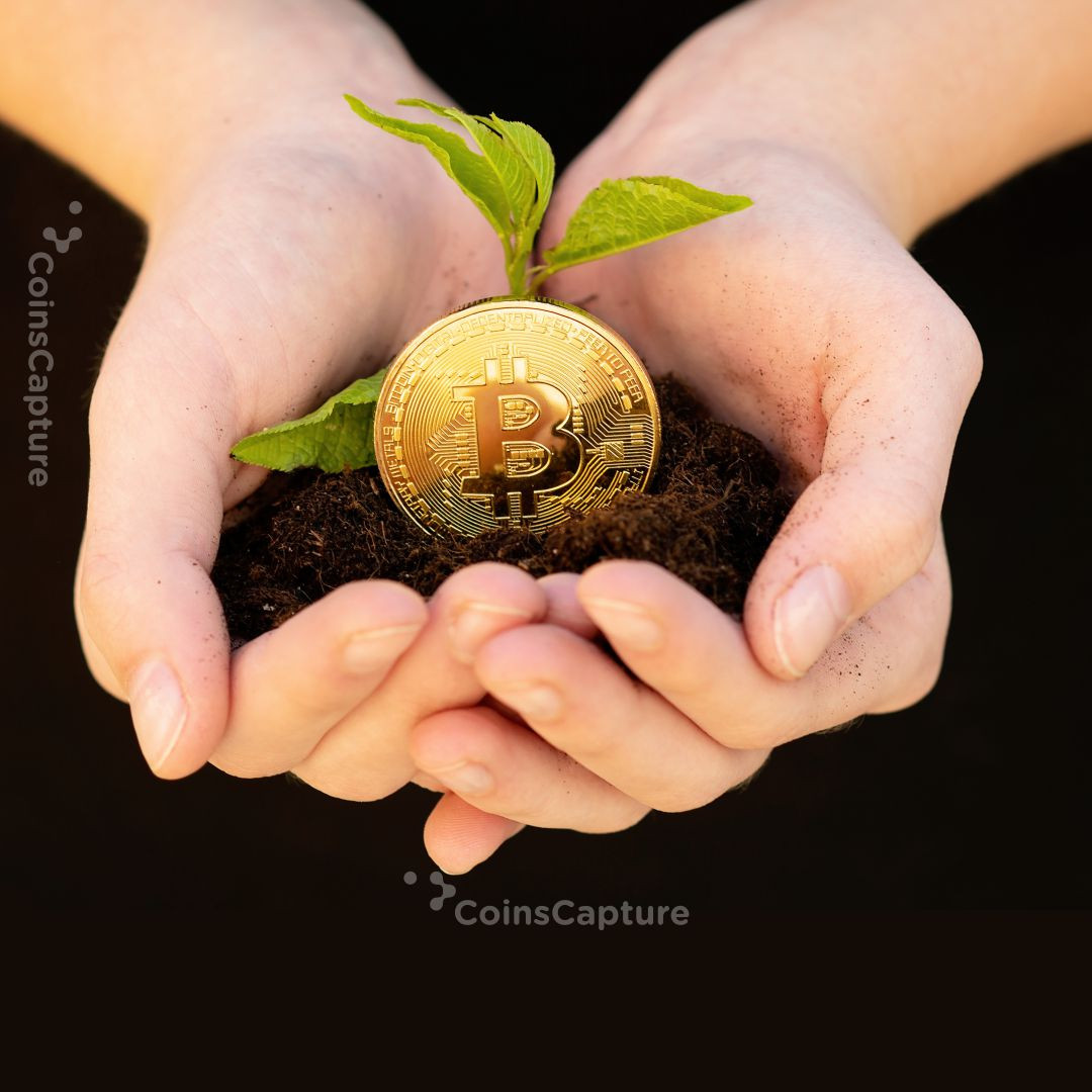CoinsCapture - Cryptocurrency Trading Prices Today, Live Chart , Market Trades & Cap