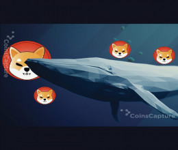 CoinsCapture - Cryptocurrency Trading Prices Today, Live Chart , Market Trades & Cap