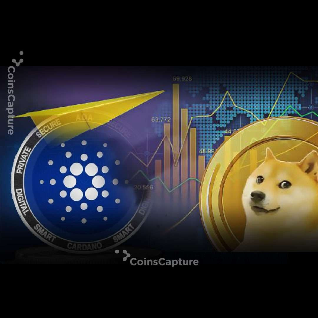 CoinsCapture - Cryptocurrency Trading Prices Today, Live Chart , Market Trades & Cap