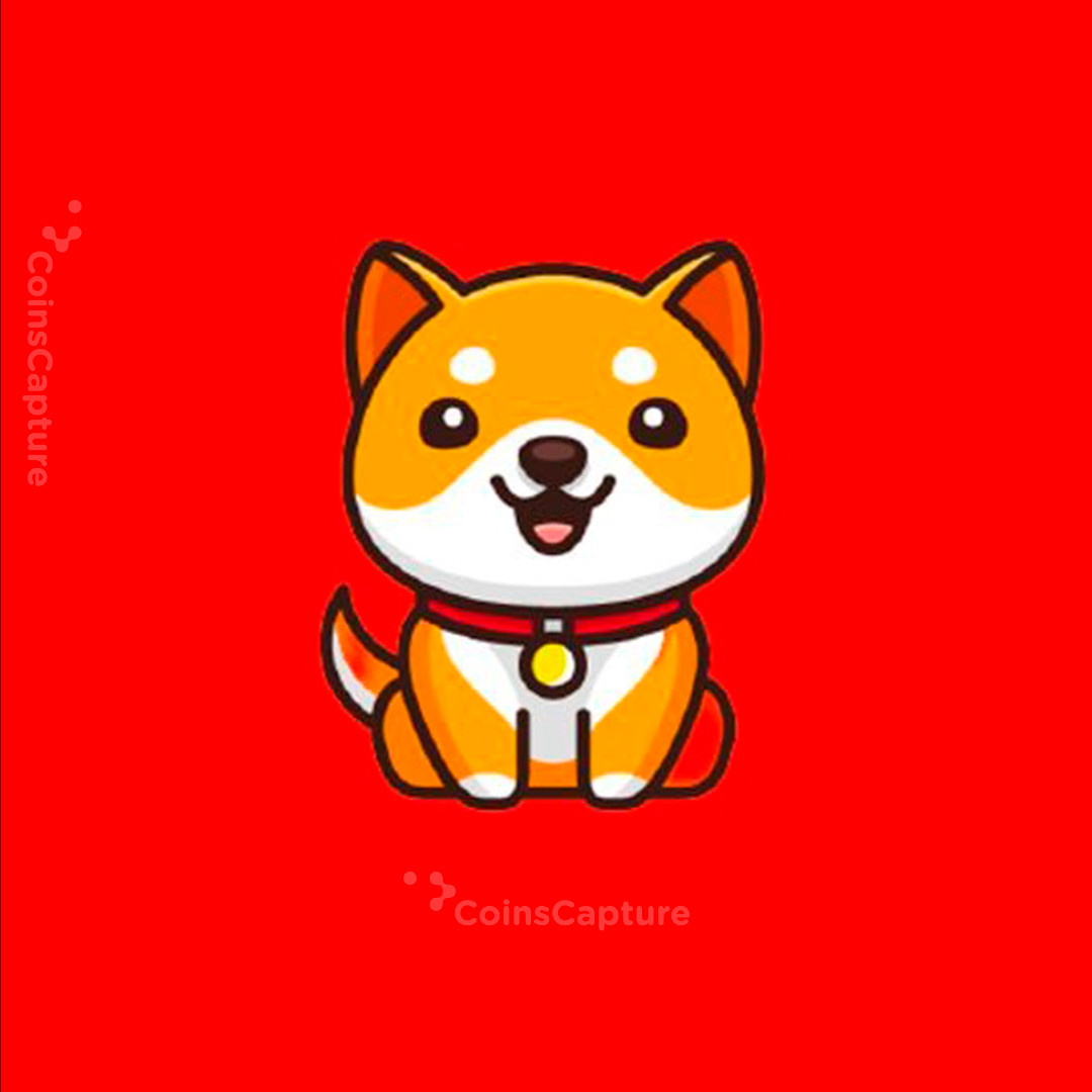 CoinsCapture - Cryptocurrency Trading Prices Today, Live Chart , Market Trades & Cap