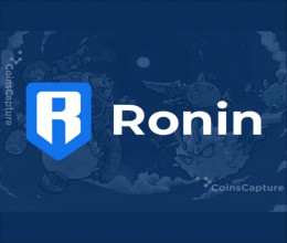 CoinsCapture - Cryptocurrency Trading Prices Today, Live Chart , Market Trades & Cap