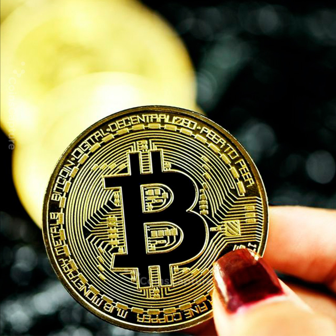 CoinsCapture - Cryptocurrency Trading Prices Today, Live Chart , Market Trades & Cap
