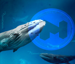 CoinsCapture - Cryptocurrency Trading Prices Today, Live Chart , Market Trades & Cap