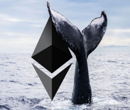 CoinsCapture - Cryptocurrency Trading Prices Today, Live Chart , Market Trades & Cap