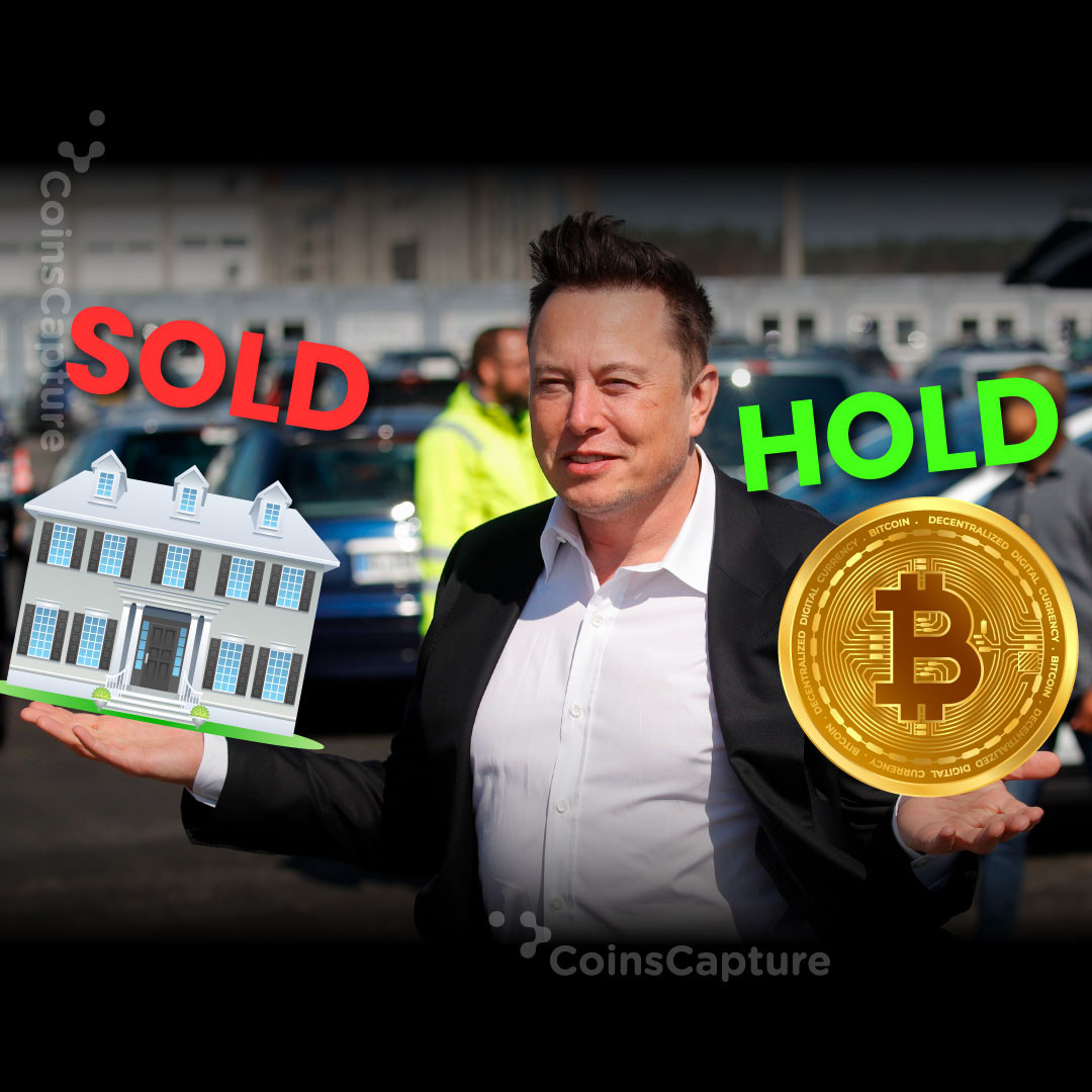 CoinsCapture - Cryptocurrency Trading Prices Today, Live Chart , Market Trades & Cap